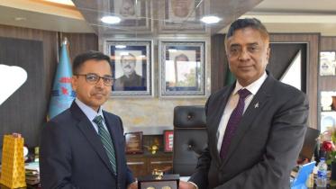 ভার্মা, বেবিচক