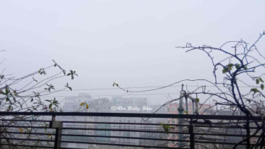 শৈত্যপ্রবাহ