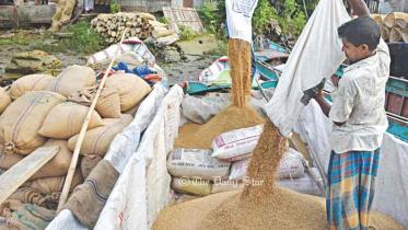 আমন ধান চাল সংগ্রহ