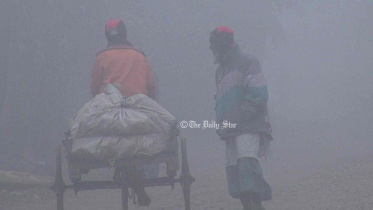 মাঝারি শৈতপ্রবাহ