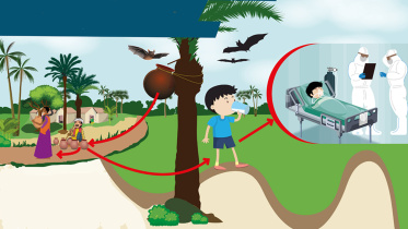 নিপাহ ভাইরাস