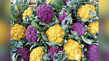 coloured-cauliflower.jpg