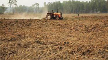 2._ploughing_of_social_forestry_plots_right_after_felling._photo._philip_gain.jpg
