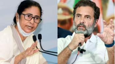 মমতা বন্দ্যোপাধ্যায় ও রাহুল গান্ধী। ছবি: সংগৃহীত