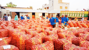 পেঁয়াজ, পাবনা, ফলন বিপর্যয়, কৃষি সম্প্রসারণ বিভাগ,