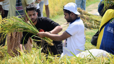 ছাত্রলীগ, বগুড়া, ধান,