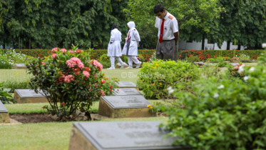 ওয়ার সিমেট্রি