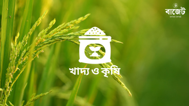 জাতীয় বাজেট ২০২৩-২৪ : কৃষি