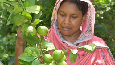 রেশমা কৃষি উদ্যোগ