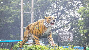 tigerpass_circle_chittagong_5.jpg