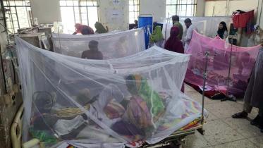 rangpur_dengue_treatment.jpg