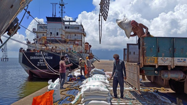 চাল, ভারত, বাসমতি,