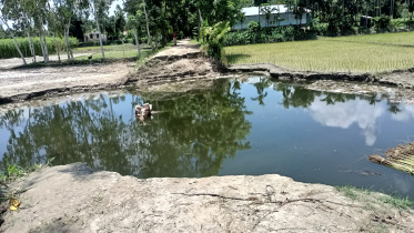 নির্মাণের ১৫ দিন পর ধসে গেল সেতু