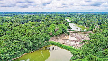 হরিহর নদী