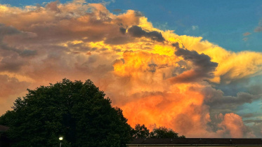 প্রবাসের হল জীবন