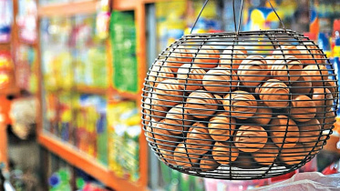 ভারত থেকে আসবে ডিম