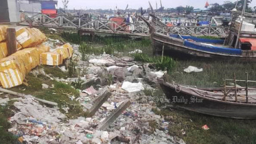 প্লাস্টিক দূষণ