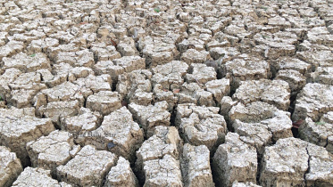 টিউবওয়েল অপারেটরদের কাছে জিম্মি বরেন্দ্র অঞ্চলের কৃষকরা