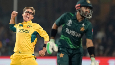 adam zampa