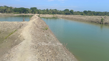 পটুয়াখালীর সংরক্ষিত বন