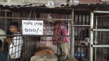 কারওয়ান বাজারে গরুর মাংসের দোকান