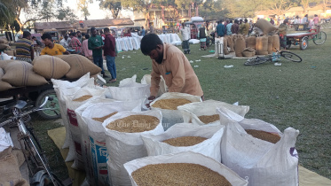 ধানের দাম.jpg