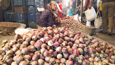 নতুন পেঁয়াজ