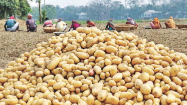 আলুর দাম