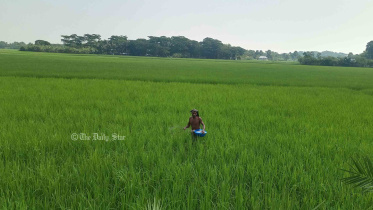 পটুয়াখালীতে ১০ বছরে কৃষিকাজ ছেড়েছে ৪০ হাজার পরিবার