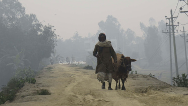 আজও দেশের সর্বনিম্ন তাপমাত্রা তেঁতুলিয়ায়, কমতে পারে রাতের তাপমাত্রা