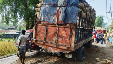 পায়রা সেতু