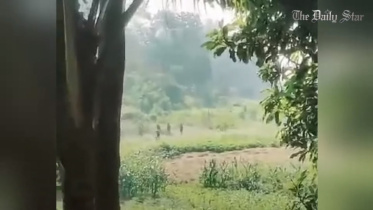 আজ সকাল পর্যন্ত মিয়ানমারের ১১৩ সীমান্তরক্ষী বাংলাদেশে আশ্রয় নিয়েছেন: বিজিবি