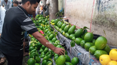 lemon_in_sylhet.jpg