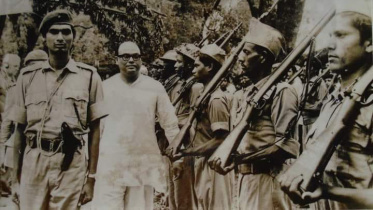 মুজিবনগর দিবস