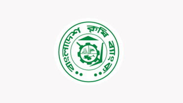 বাংলাদেশ কৃষি ব্যাংক, বিকেবি, লোকসান,