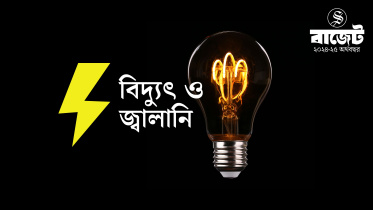 বিদ্যুৎ-জ্বালানি খাতে বরাদ্দ কমল