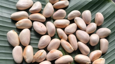 কাঁঠালের বিচির উপকারিতা