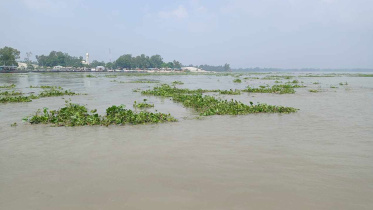 সিরাজগঞ্জে দ্রুত বাড়ছে যমুনার পানি