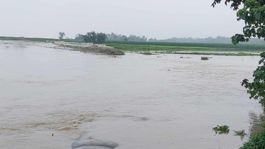 গাইবান্ধা যমুনা