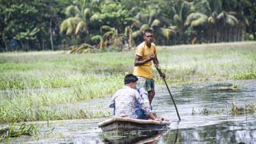 শুকায়নি বন্যার পানি: বেগমগঞ্জের যেসব গ্রামে এখনো নৌকা নিয়ে যেতে হয়