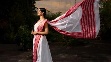 cotton_saree.jpg