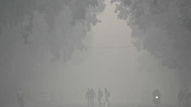 নয়াদিল্লি 