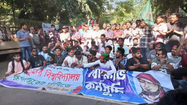 তিতুমীর কলেজ.jpg