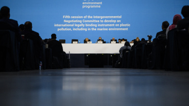 দক্ষিণ কোরিয়া প্লাস্টিক সম্মেলন