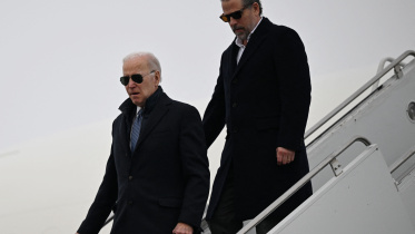 The bidens