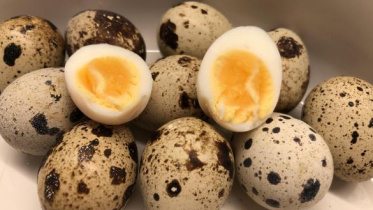কোয়েলের ডিম