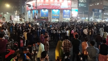 তিতুমীর কলেজ