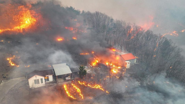 wildfire south korea