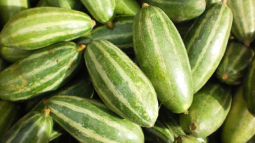 পটলের উপকারিতা