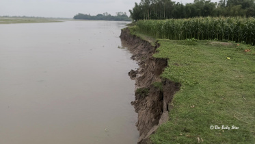 নদী ভাঙন